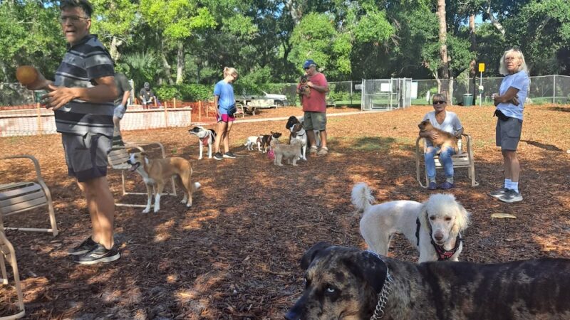 Dog Park - Sarasota, FL