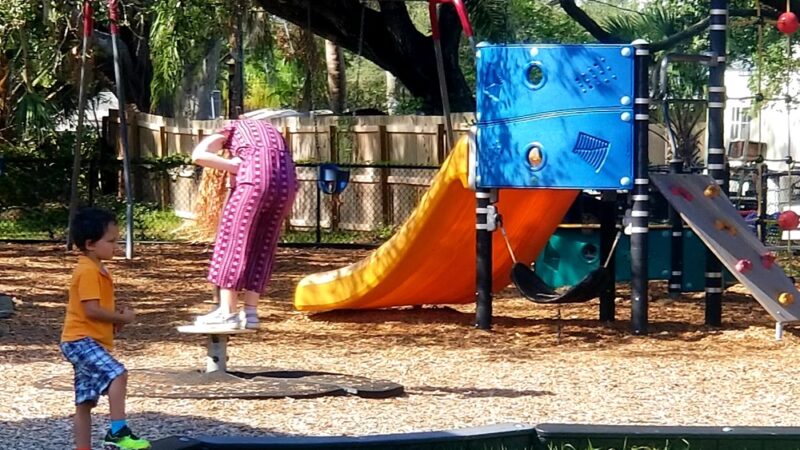 Dog Park - Sarasota, FL