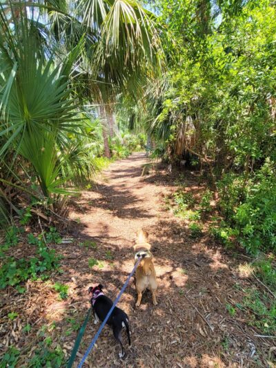 Dog Park - Sarasota, FL