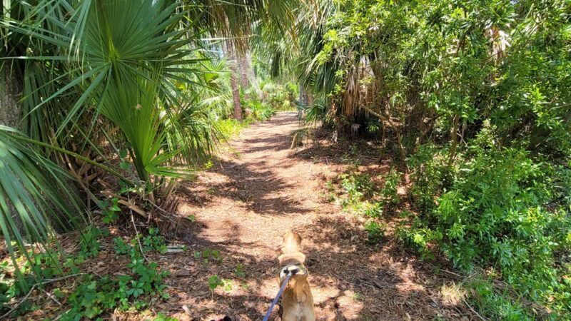 Dog Park - Sarasota, FL