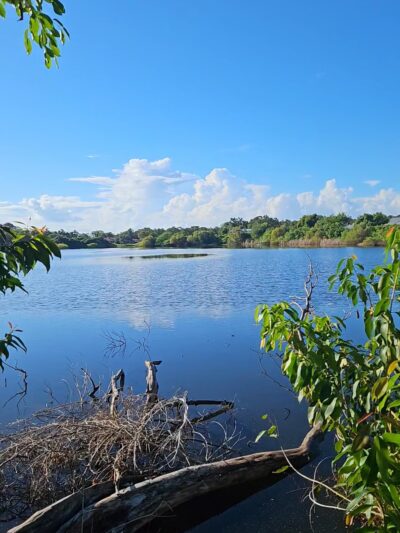 Lakeview Park - Sarasota, FL