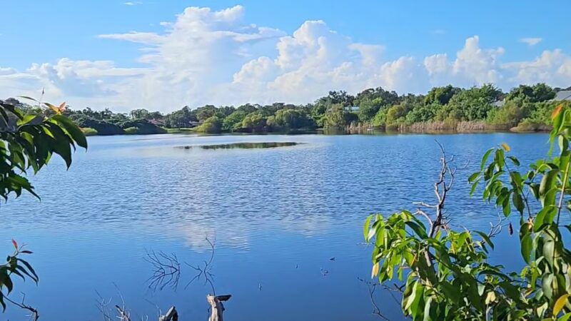 Lakeview Park - Sarasota, FL