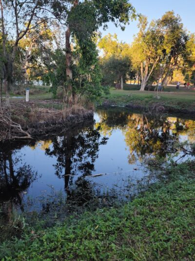 Lakeview Park - Sarasota, FL