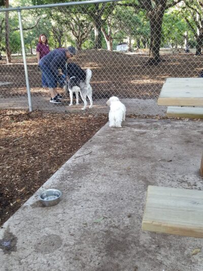 Lakeview Park - Sarasota, FL