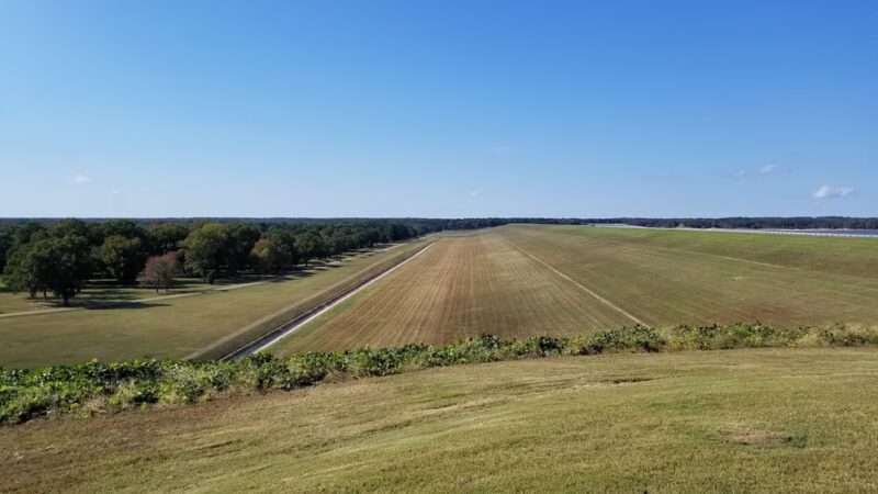 Arty R. Tapp Overlook - Sardis, MS