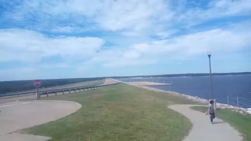 Arty R. Tapp Overlook - Sardis, MS