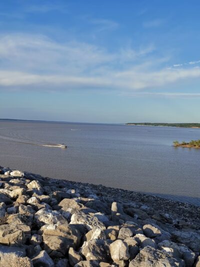 Arty R. Tapp Overlook - Sardis, MS