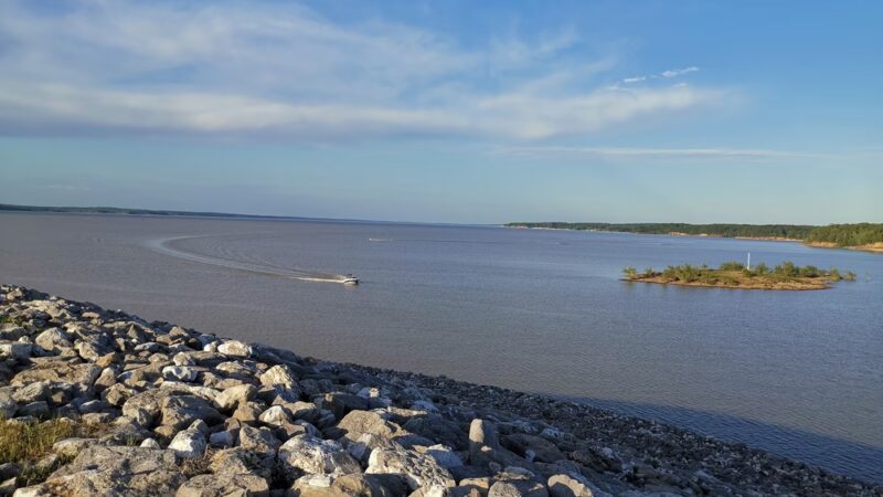 Arty R. Tapp Overlook - Sardis, MS
