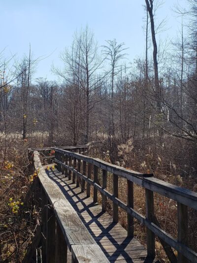 Clear Springs Nature Trail - Sardis, MS