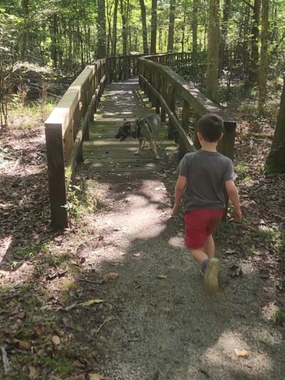 Clear Springs Nature Trail - Sardis, MS