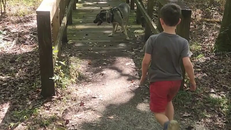 Clear Springs Nature Trail - Sardis, MS