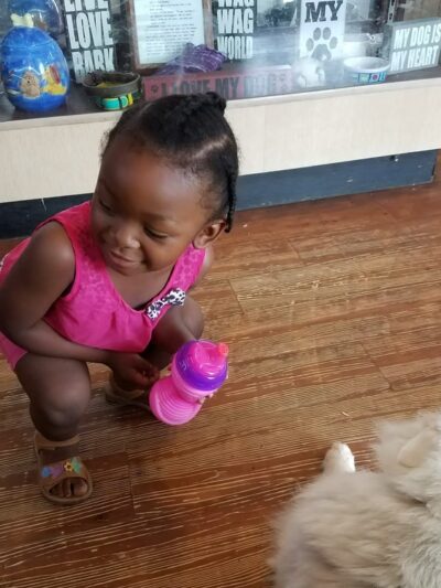 Pet Stop - Sardis, MS