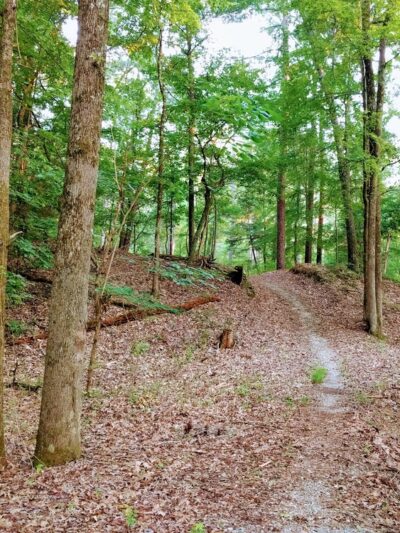 Sandstone Nature and Fitness Trails - Sardis, MS