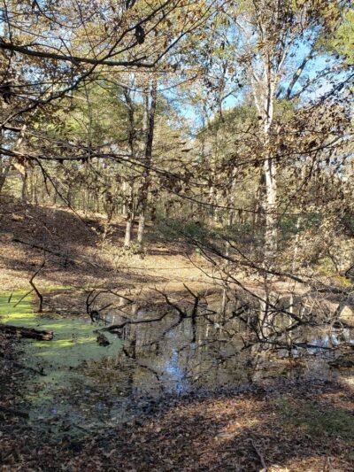 Sandstone Nature and Fitness Trails - Sardis, MS