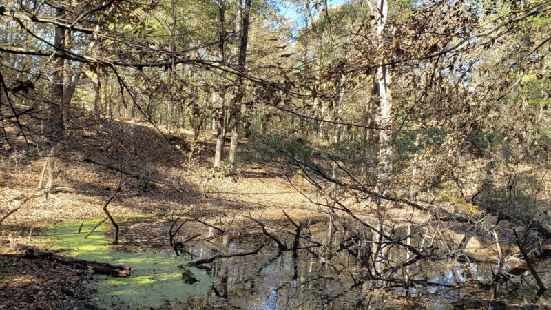 Sandstone Nature and Fitness Trails - Sardis, MS