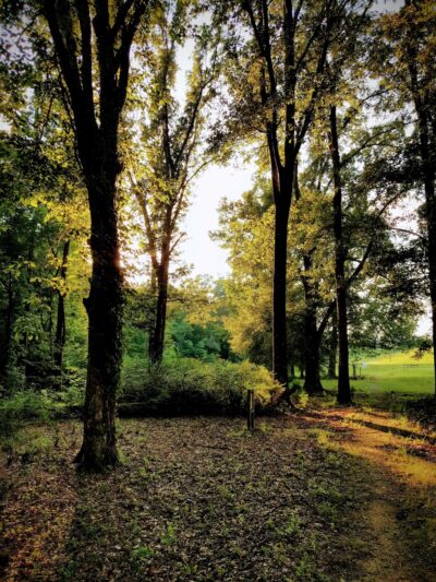 Sandstone Nature and Fitness Trails - Sardis, MS