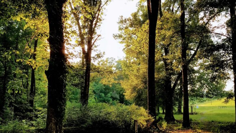 Sandstone Nature and Fitness Trails - Sardis, MS