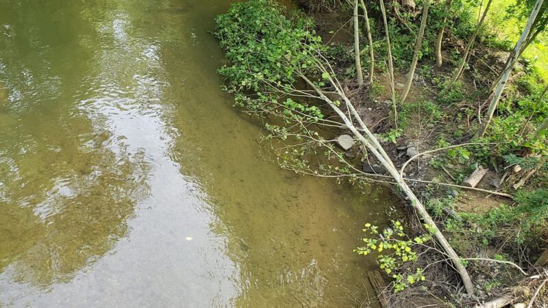 Butler-Freeport Community Trail Monroe Parking - Sarver, PA