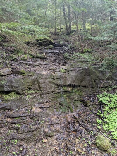 Butler-Freeport Community Trail Monroe Parking - Sarver, PA