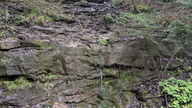 Butler-Freeport Community Trail Monroe Parking - Sarver, PA