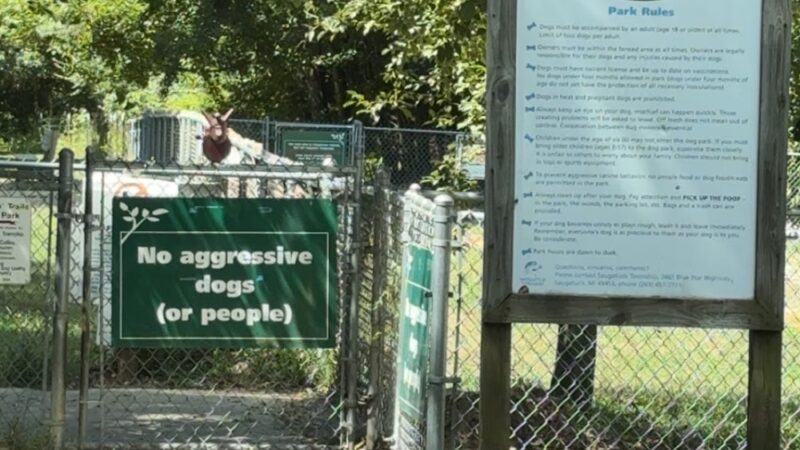 Tails n' Trails Dog Park - Saugatuck, MI