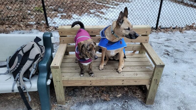 Bark Place Dog Park - Saugus, MA