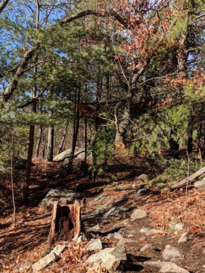 Skull Cliff Parking - Saugus, MA