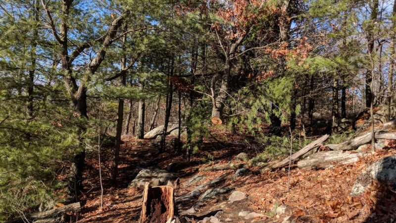 Skull Cliff Parking - Saugus, MA