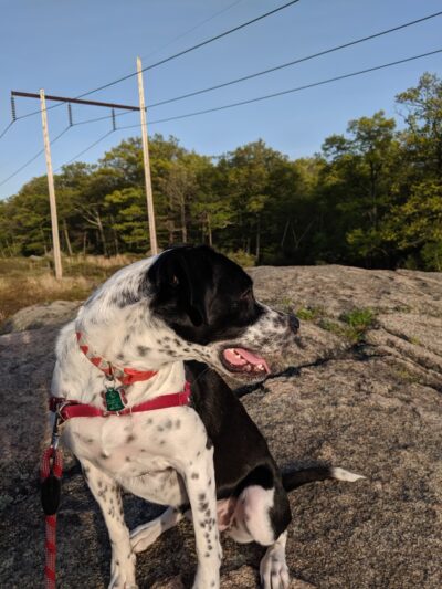 Skull Cliff Parking - Saugus, MA