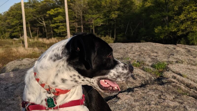 Skull Cliff Parking - Saugus, MA