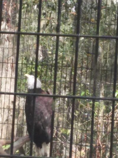 Gray's Community Park - Savannah, GA