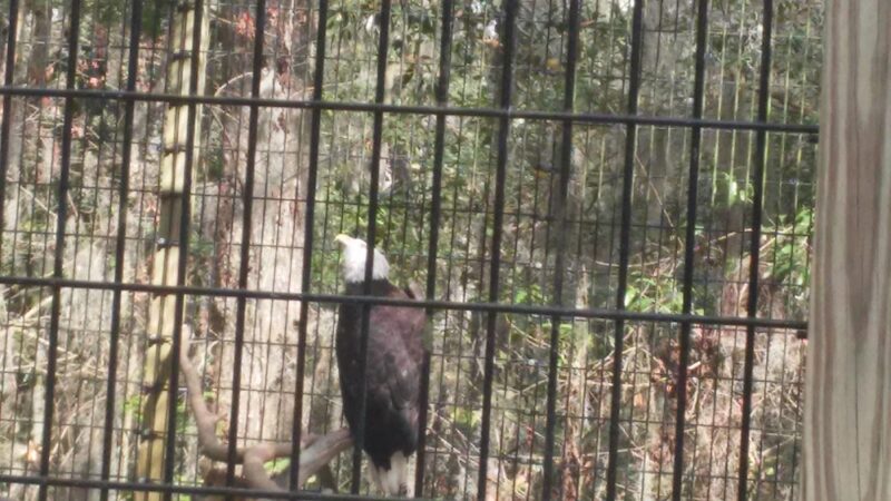Gray's Community Park - Savannah, GA
