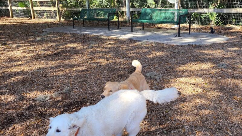 Landings Dog Park (member only) - Savannah, GA