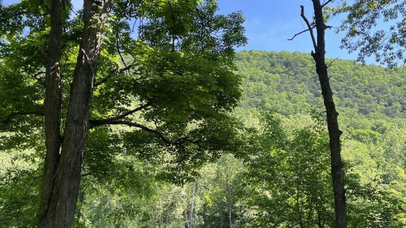 Warriors Path State Park - Saxton, PA
