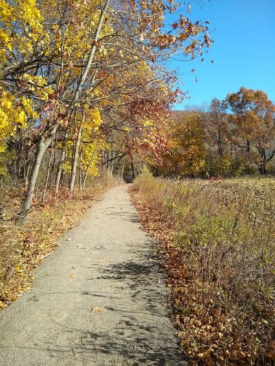 Riverfront Park - Sayre, PA