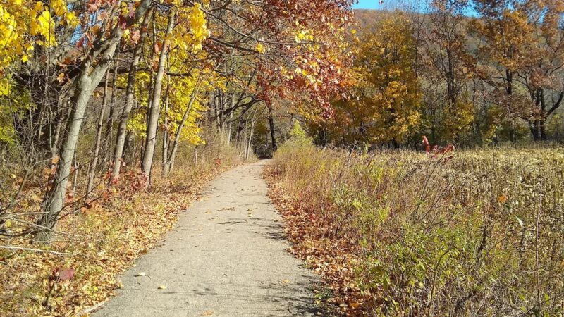 Riverfront Park - Sayre, PA
