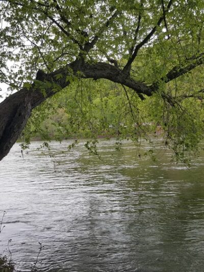 Riverfront Park - Sayre, PA