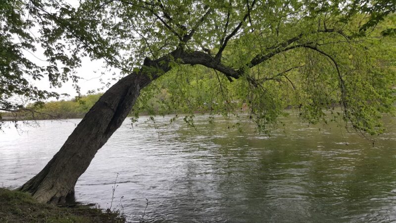 Riverfront Park - Sayre, PA
