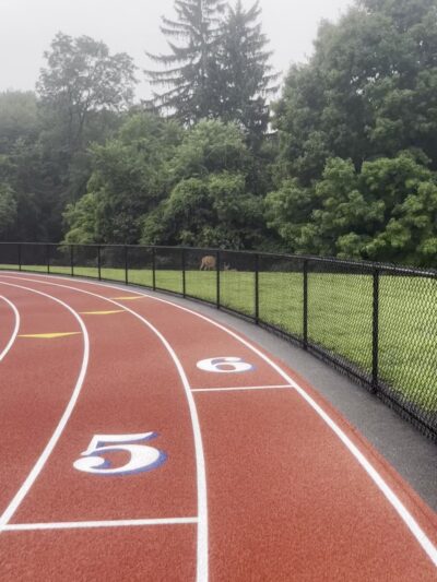 Blandford Field - Scarsdale, NY