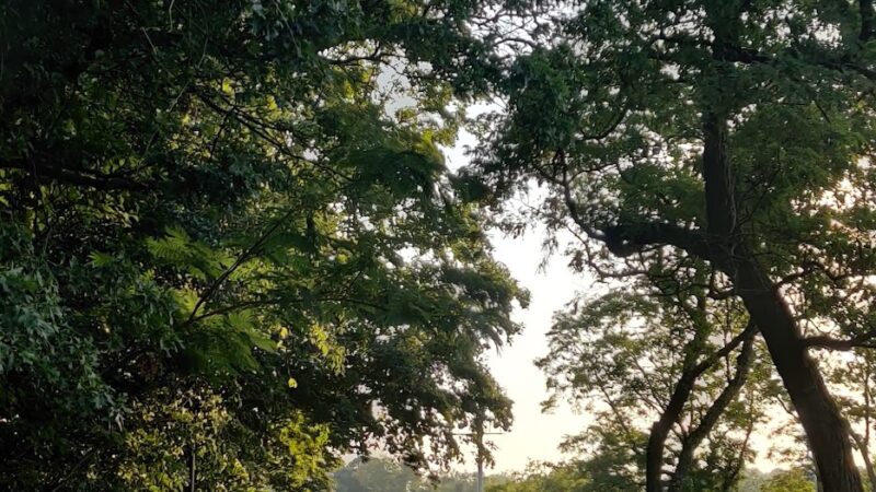 Blandford Field - Scarsdale, NY