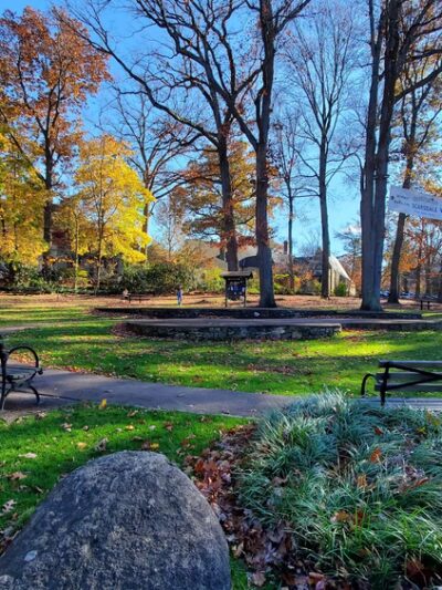 Chase Park - Scarsdale, NY