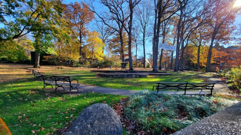 Chase Park - Scarsdale, NY