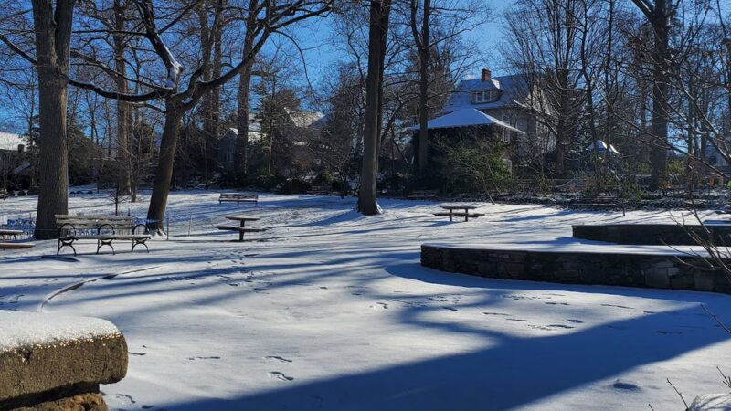 Chase Park - Scarsdale, NY