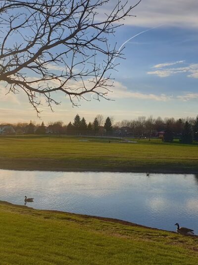 Belle Park - Schaumburg, IL