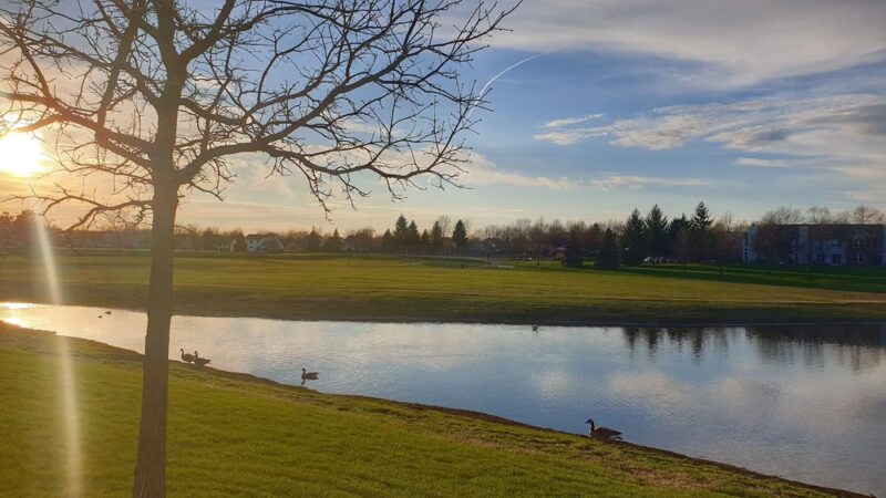 Belle Park - Schaumburg, IL