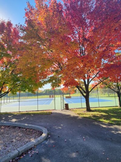 Belle Park - Schaumburg, IL