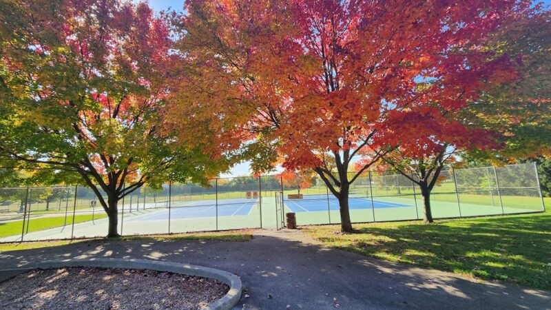 Belle Park - Schaumburg, IL