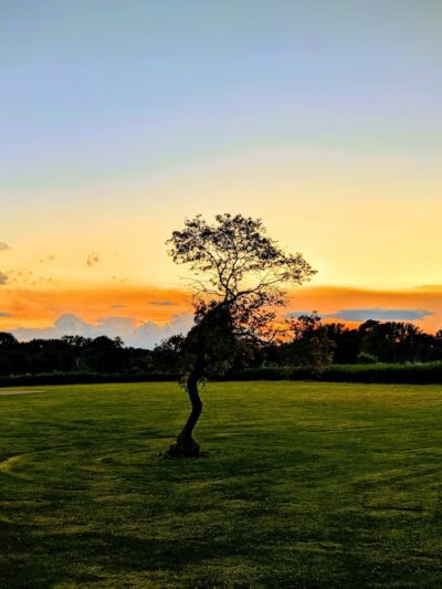Campanelli Park - Schaumburg, IL