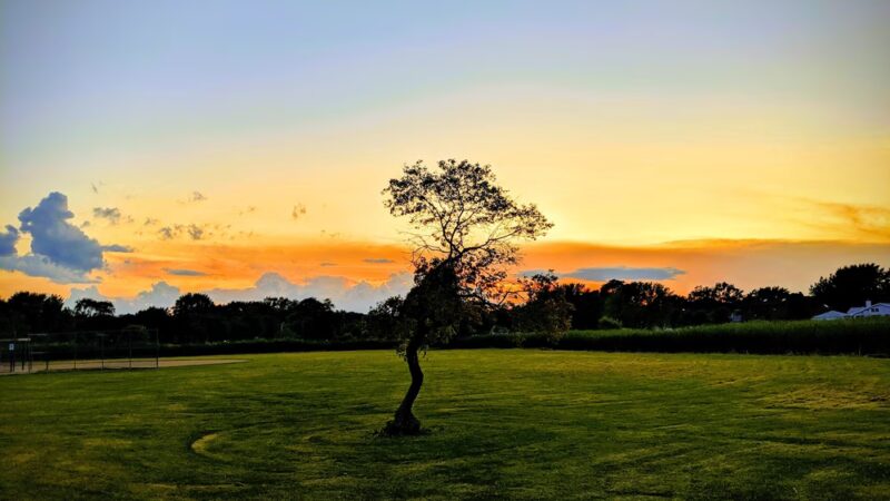 Campanelli Park - Schaumburg, IL