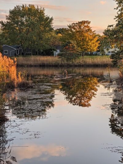 Campanelli Park - Schaumburg, IL